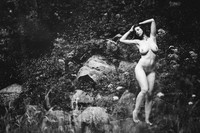 N80_0206_75