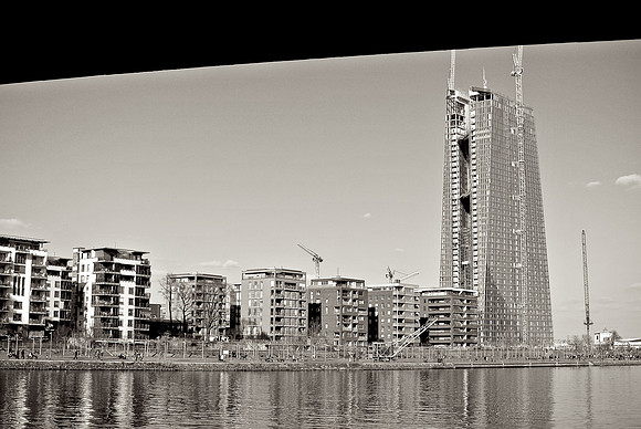 DSC_1172